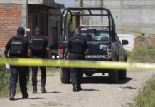 Guanajuato Does Not Trust the Police: Only 3 Out of 10 Citizens Feel Safe