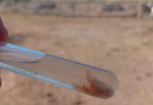 Efforts are underway to strengthen prevention of the screwworm in Guanajuato due to the risk to humans and livestock.