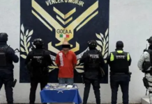 Guanajuato: Kidnapped teenager rescued in Apaseo el Alto; one person detained.