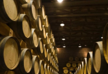 Guanajuato wines sweep the 2026 Brussels World Competition