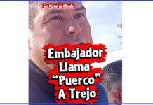 Korean Ambassador Calls San Miguel de Allende Mayor Mauricio Trejo a Puerco “Pig” (VIDEO)