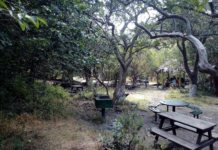 Las Fuentes protects flora and fauna after 27 years as a nature reserve in Guanajuato