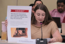 Guanajuato against animal abuse! They are analyzing the creation of a specialized prosecutor’s office.