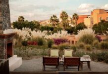 San Miguel de Allende: A Premier Guide to Wine, Art, and Gastronomy