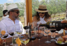 Guanajuato wines see opportunity in California and Texas.